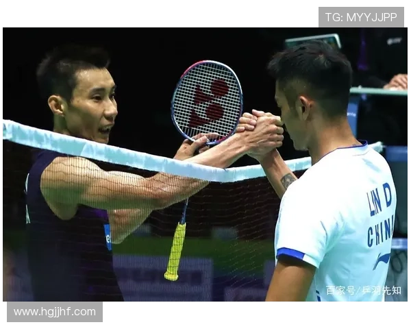 数据分析：南京羽毛球队的配合表现